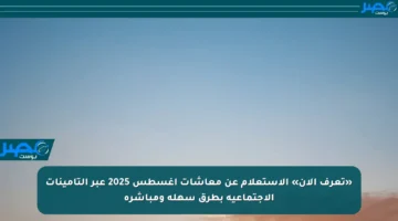 «تعرف الآن» الاستعلام عن معاشات أغسطس 2025 عبر التأمينات الاجتماعية بطرق سهلة ومباشرة